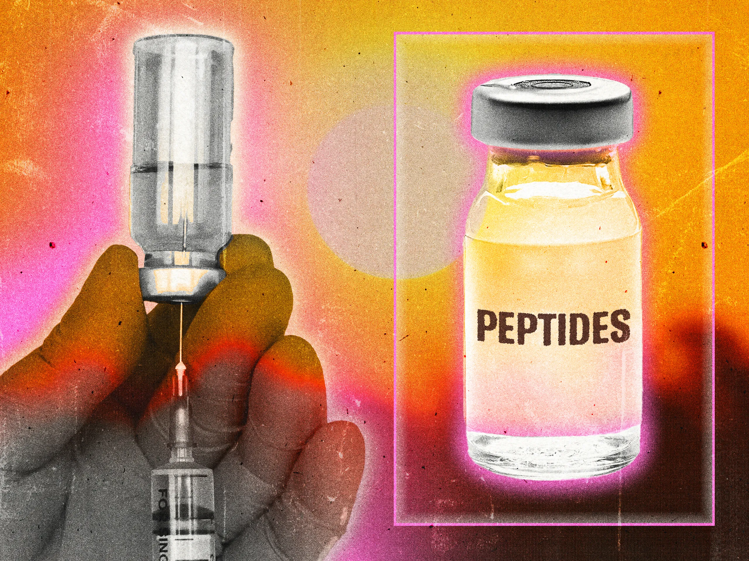 peptide muskelaufbau