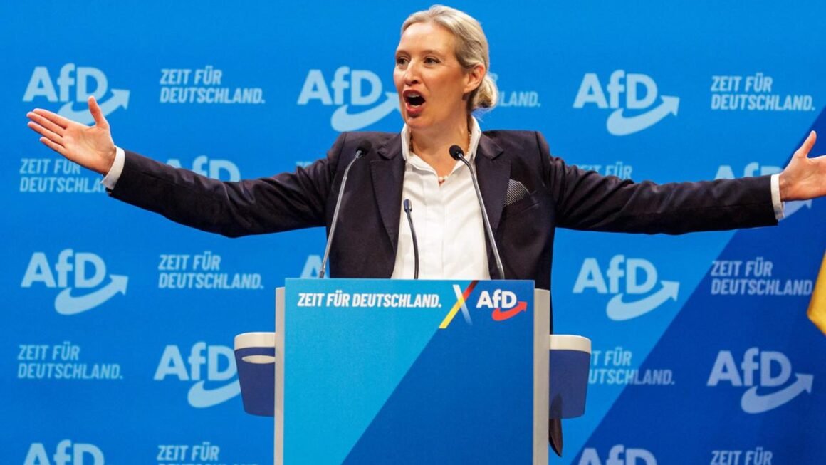 Was will die AfD: Ziele, Programm, politische Positionen und umstrittene Forderungen im Überblick