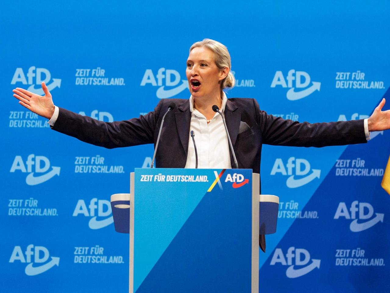 was will die afd