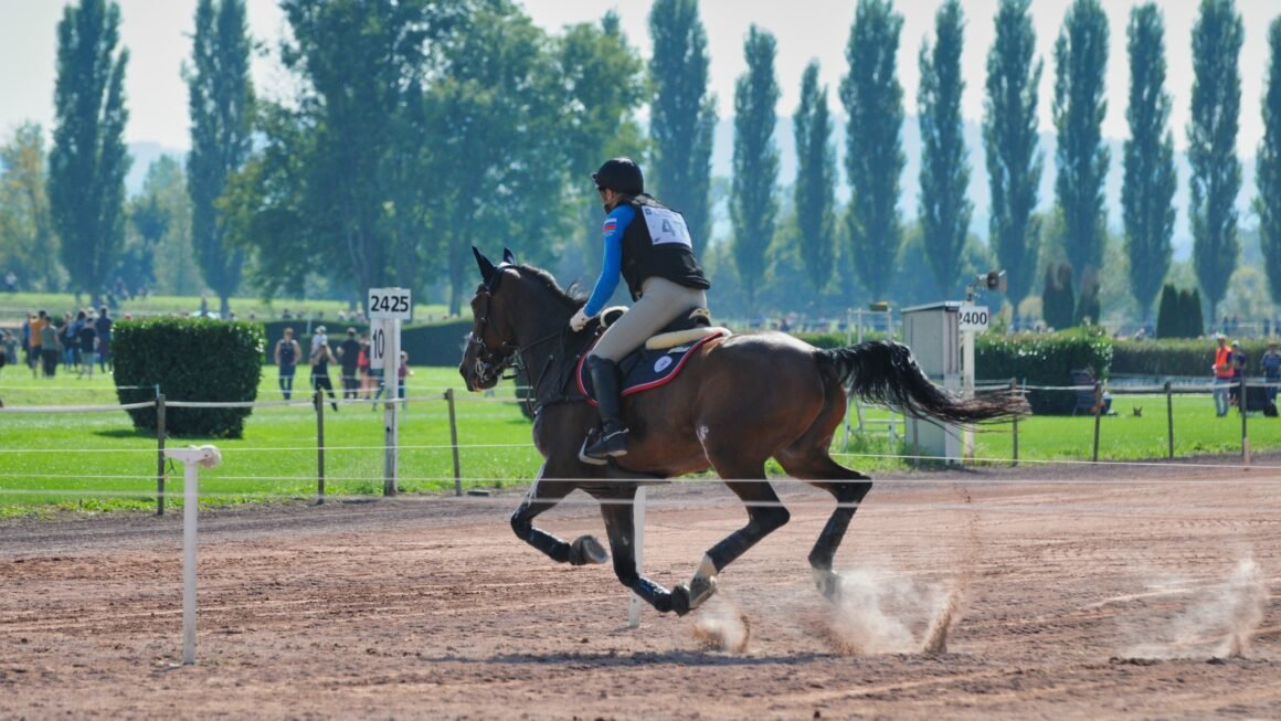 Gina Hanauer Reimershagen: Ihre Verbindung zum Reitsport und ihre dokumentierte Laufbahn